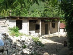 Our Projects